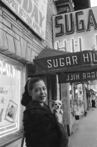Книга Billie Holiday at Sugar Hill - Билли, которую мы не знали Билли Холидей в Шугар Хилл