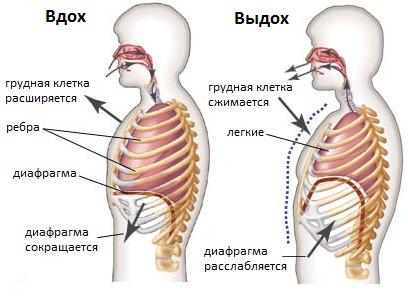Как научиться петь
