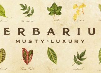 Интервью musty luxury: «Для творчества нужен “свежий воздух”» musty luxury - альбом Herbarium