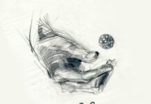 Нью-джазовое трио Parolibrе – альбом «5» Нью-джазовое трио Parolibre – альбом 5