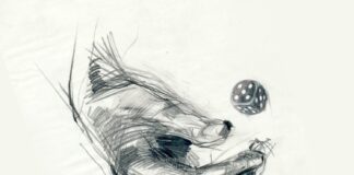 Нью-джазовое трио Parolibrе – альбом «5» Нью-джазовое трио Parolibre – альбом 5